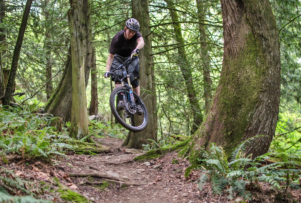 Norco Range Killer B2