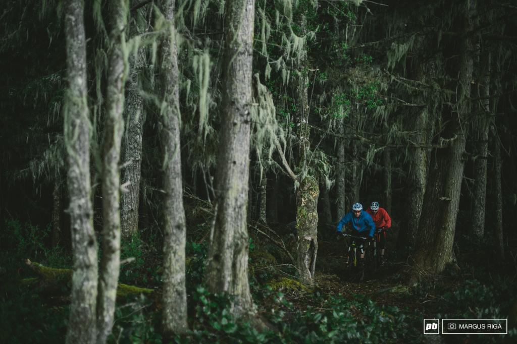 Gully and Hestler exploring the deep dark dank woods in Port McNeill.