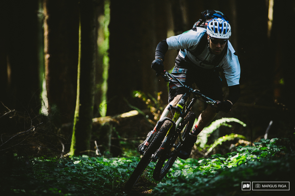 Gully enjoying the Alert Bay loam.
