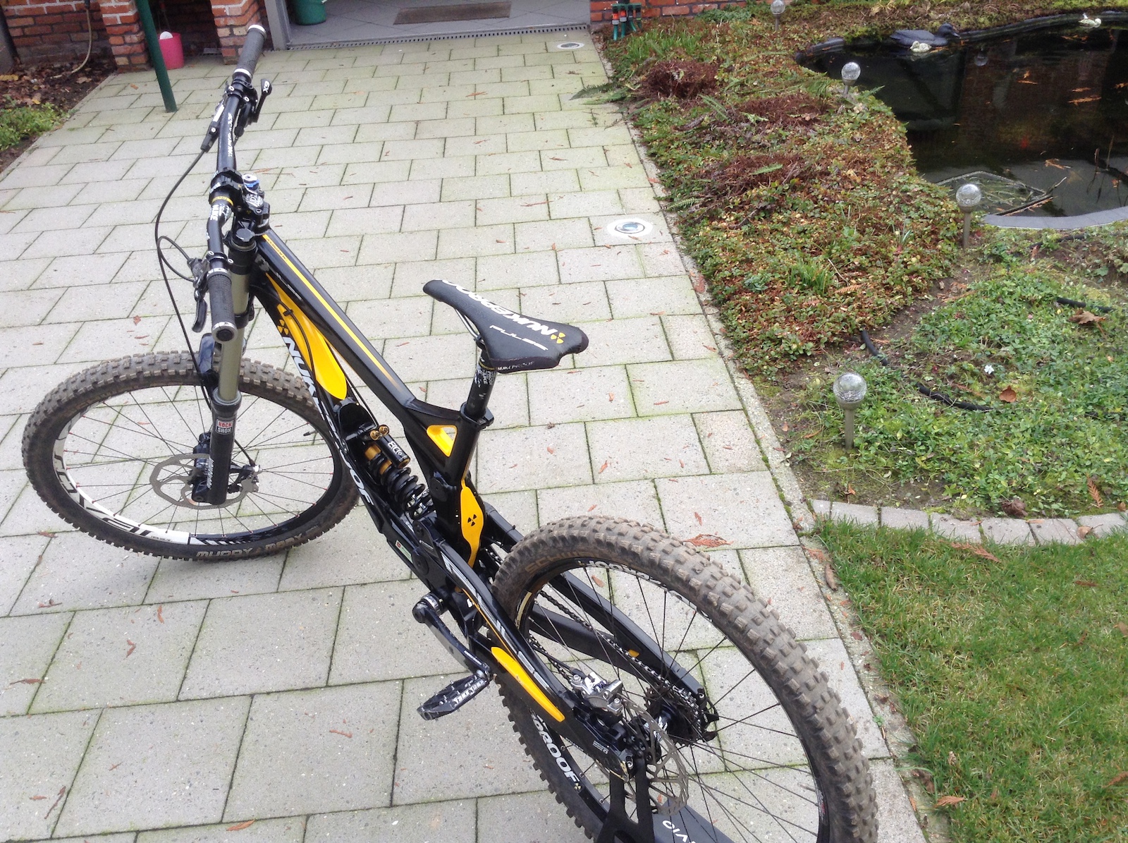 Afbeelding