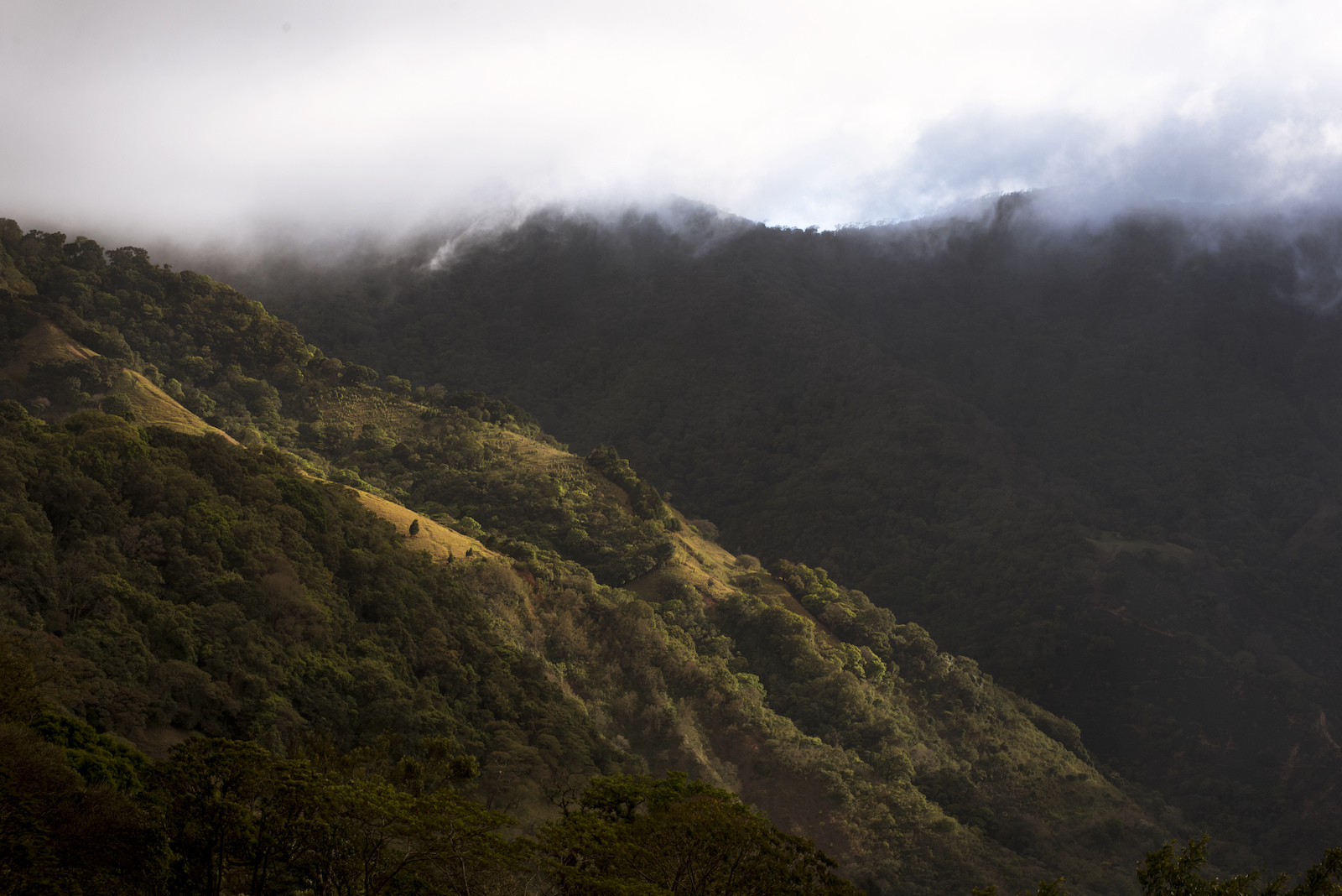 Costa Rica, the Ultimate Winter Escape Video Pinkbike