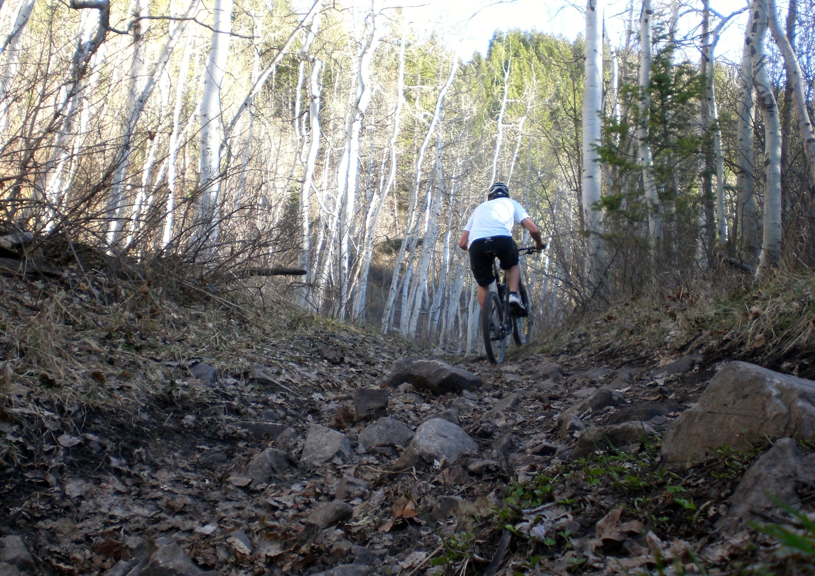 Past the springs, timer on a point and shoot