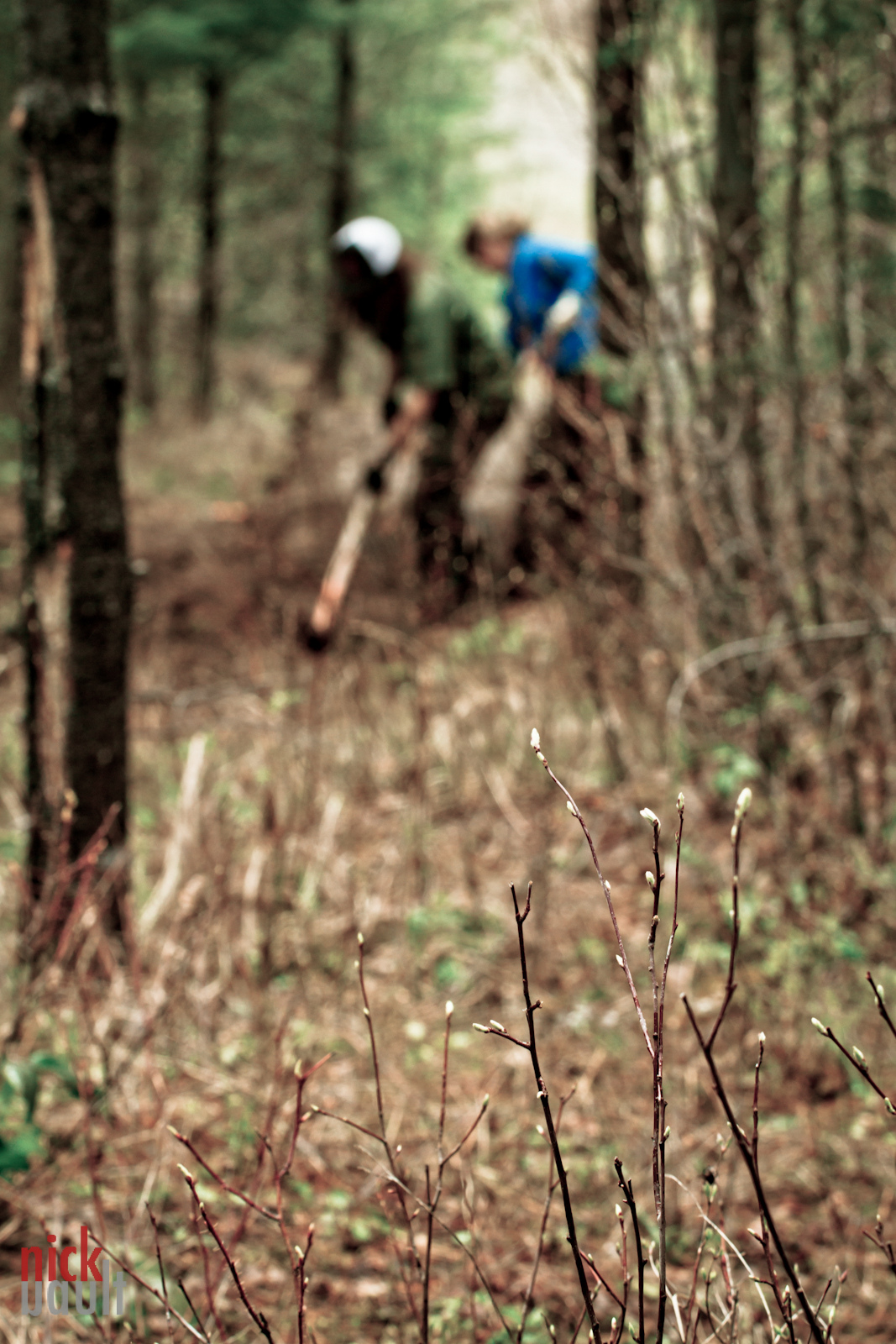 Spring time trail maintenance.