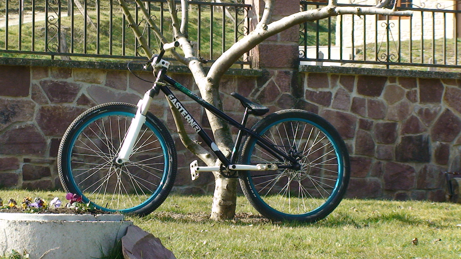 thunderbird