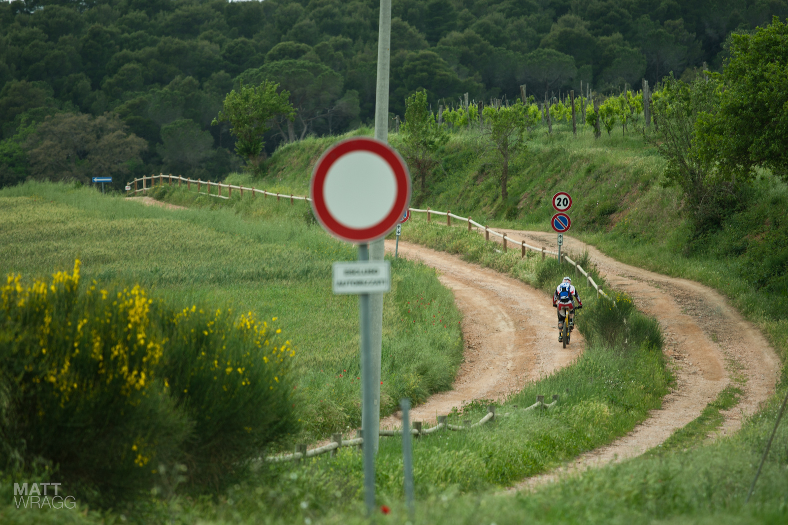 Transfer to stage four.