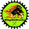 Cinghialtracks ASD logo