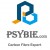 PSYBIE bike shop logo