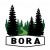 Boreal Outdoor Recreation Association logo
