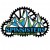 Spin Sisters Mountain Bike Club logo