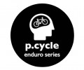 P-Cycle