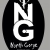 North Gorge Group logo