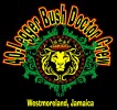 40 Legger Bush Doctor Crew-Jamaica logo