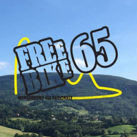 Freebike 65 asd
