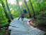 trail association logo