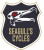 Seagull's Cycles