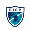BICP Africa logo