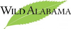 Wild Alabama logo