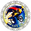 Padyak AlAhsa logo
