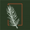 trail association logo