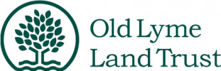 trail association logo