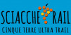 ASD Polisportiva 5 Terre logo