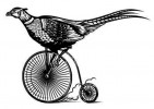 trail association logo