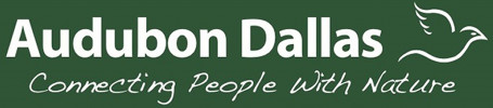 Aududon Dallas logo