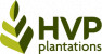 Hancock Victorian Plantations logo