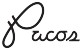 Paco's Bike & Ski logo