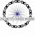 Palmetto Wheelworks logo