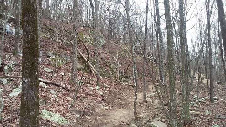February 2017 Trail work Day