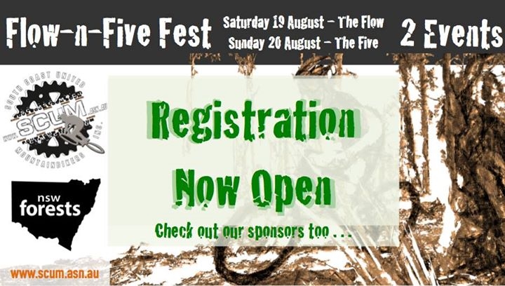 The Flow-n-Five Fest