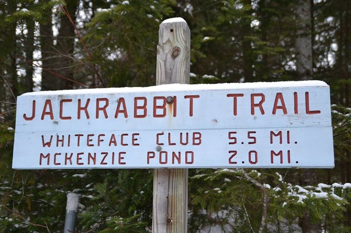Jackrabbit Trail Work Day