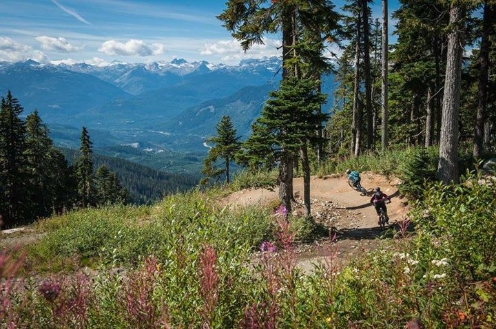 Dirt Series Mountain Bike Camp (co-ed) - Whistler, BC