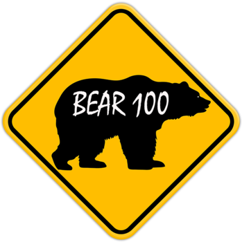 The Bear 100