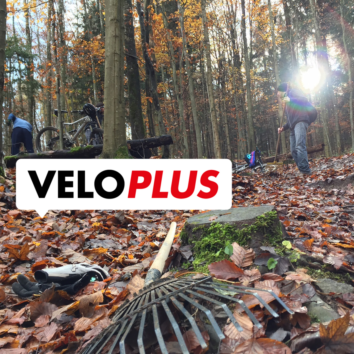 Adlisberg Trailwisch und Fondue powered by Veloplus