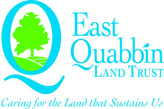 Hills of East Quabbin Ride