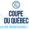 Coupe du Québec DH - Massif du Sud