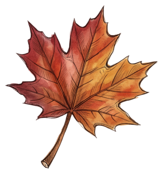 The Leaf Peeper