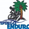 Vipingo Enduro