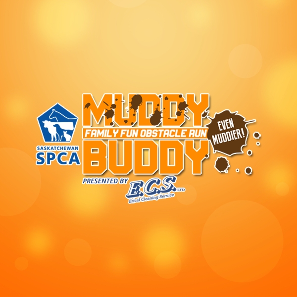 Muddy Buddy Family Fun Obstacle Run