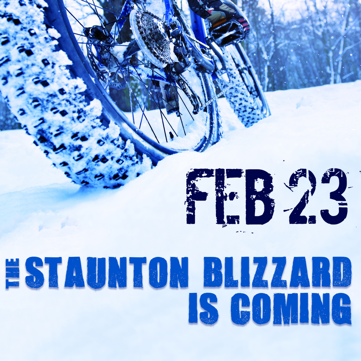 Staunton Blizzard