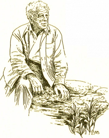 Robert Frost Drawings for Sale  Fine Art America