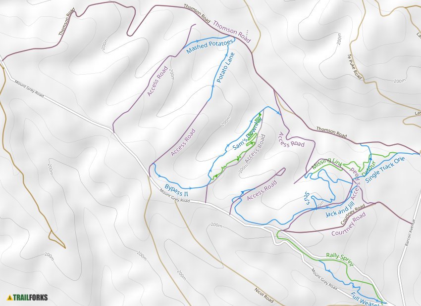 Ashley Forest, Rangiora Mountain Biking Trails | Trailforks