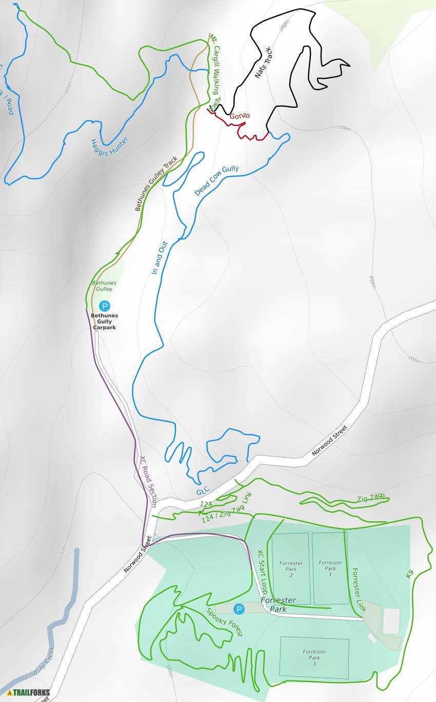 Bethunes Gully/Forrester Park Mountain Biking Trails | Trailforks