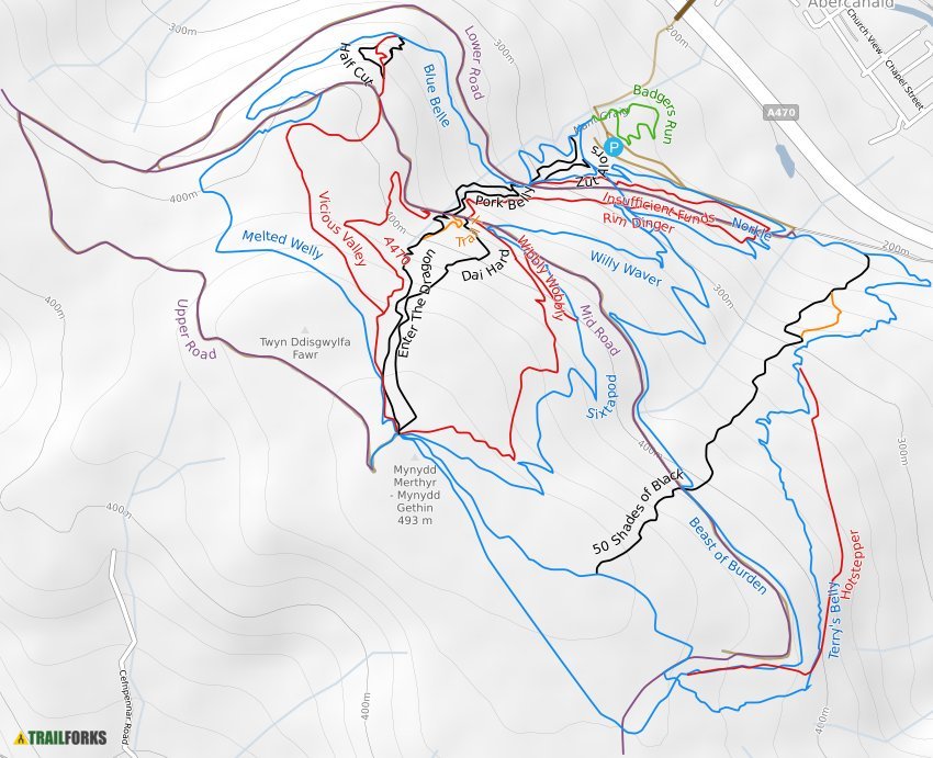 BikePark Wales Mountain Bike Trails | Trailforks