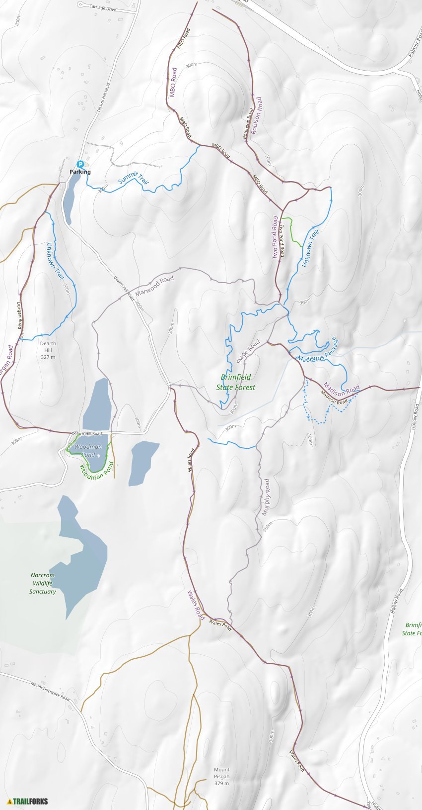 Brimfield State Forest Mountain Biking Trails Trailforks