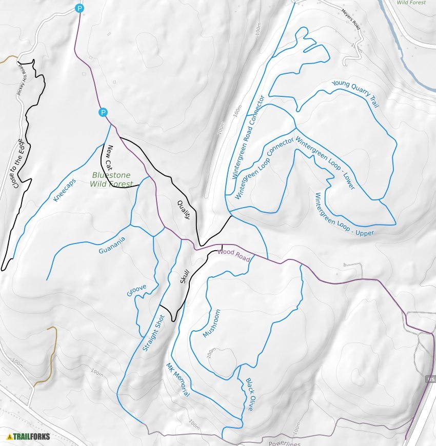 Bluestone Wild Forest @ Catskill Park Mountain Biking Trails | Trailforks