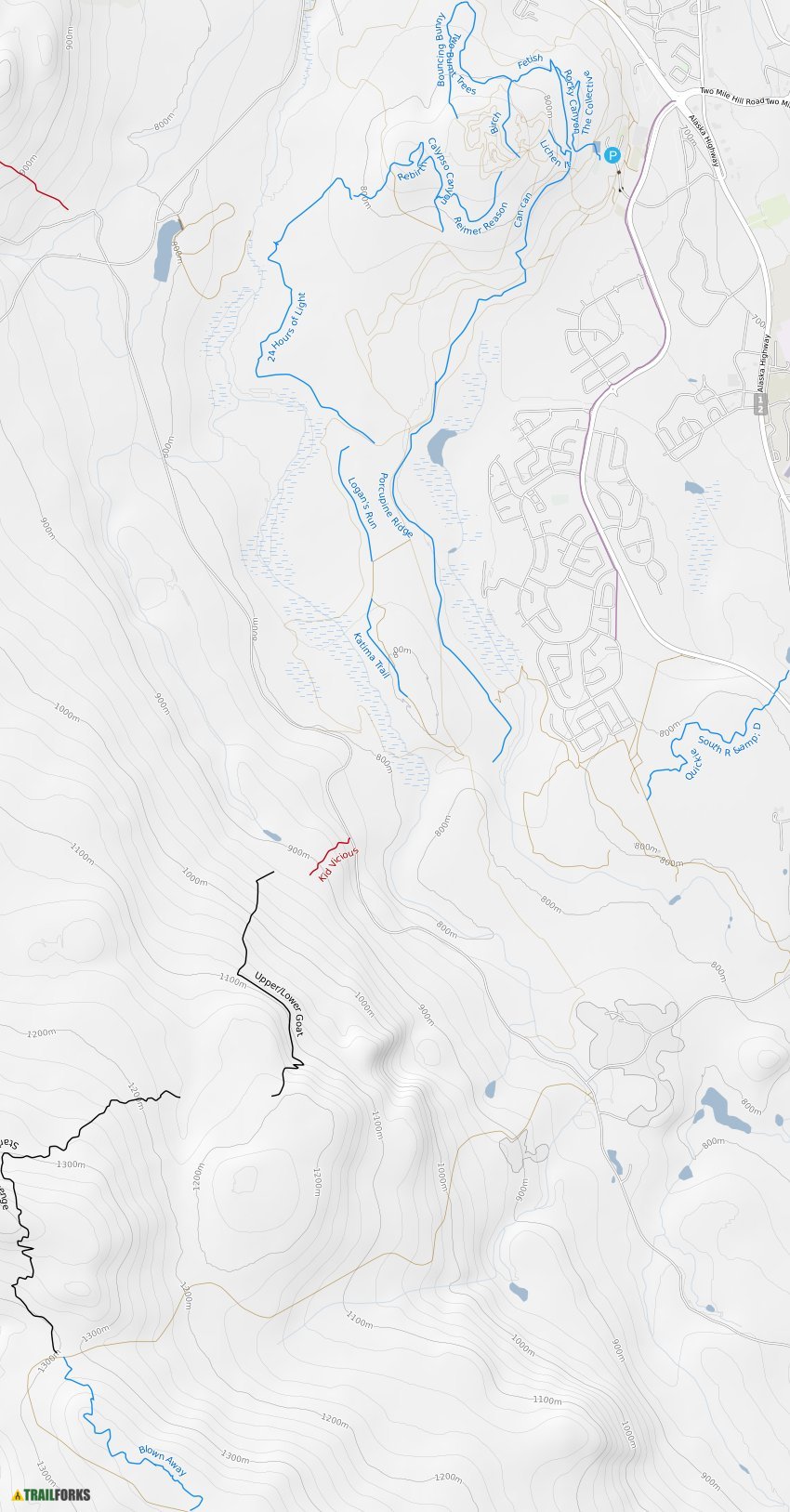Mt McIntyre Mountain Biking Trails Trailforks