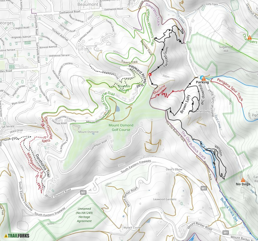 Mt Osmond Mountain Biking Trails | Trailforks